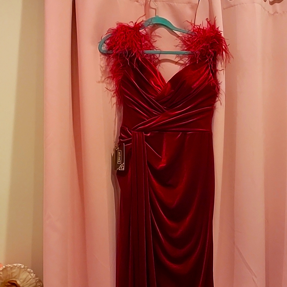 Brand New Red Velvet Dress